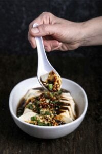 Steamed tofu topped with fermented black bean sauce, scallions, chili crisp, and crushed peanuts, lifted on a white spoon against a dark background.