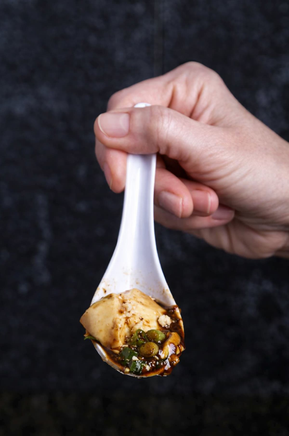 Close-up bite of steamed tofu with glossy fermented black bean sauce.