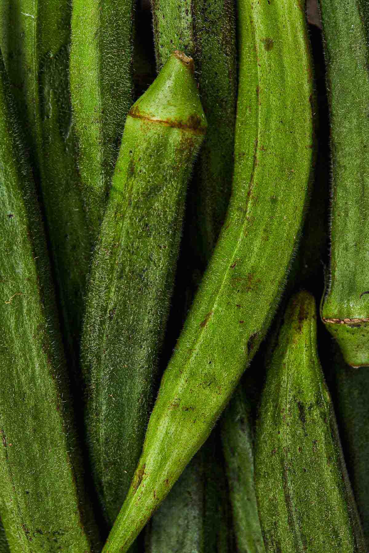 Close-up of fresh green okra pods with fuzzy texture and natural ridges.