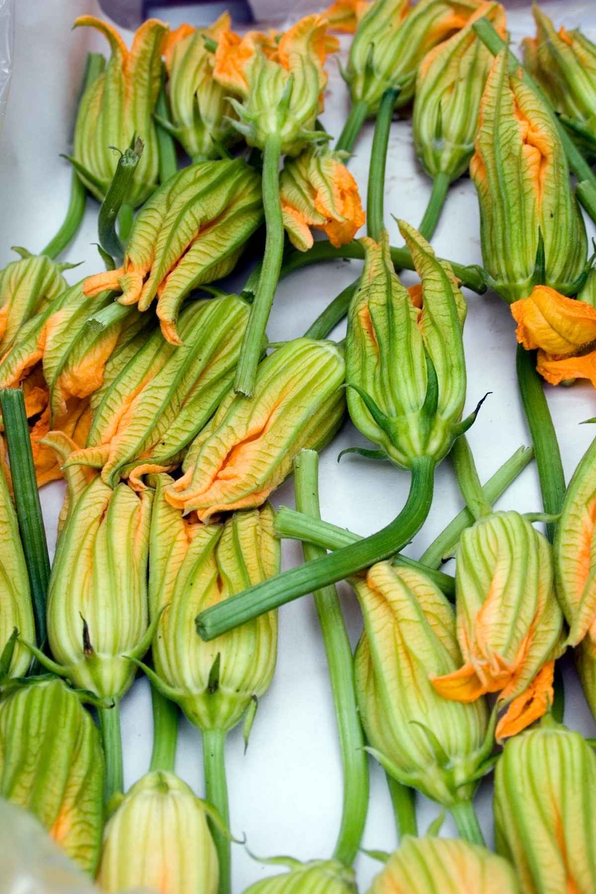 Zucchini blossoms in a farmers market box with vibrant orange petals and green stems.
