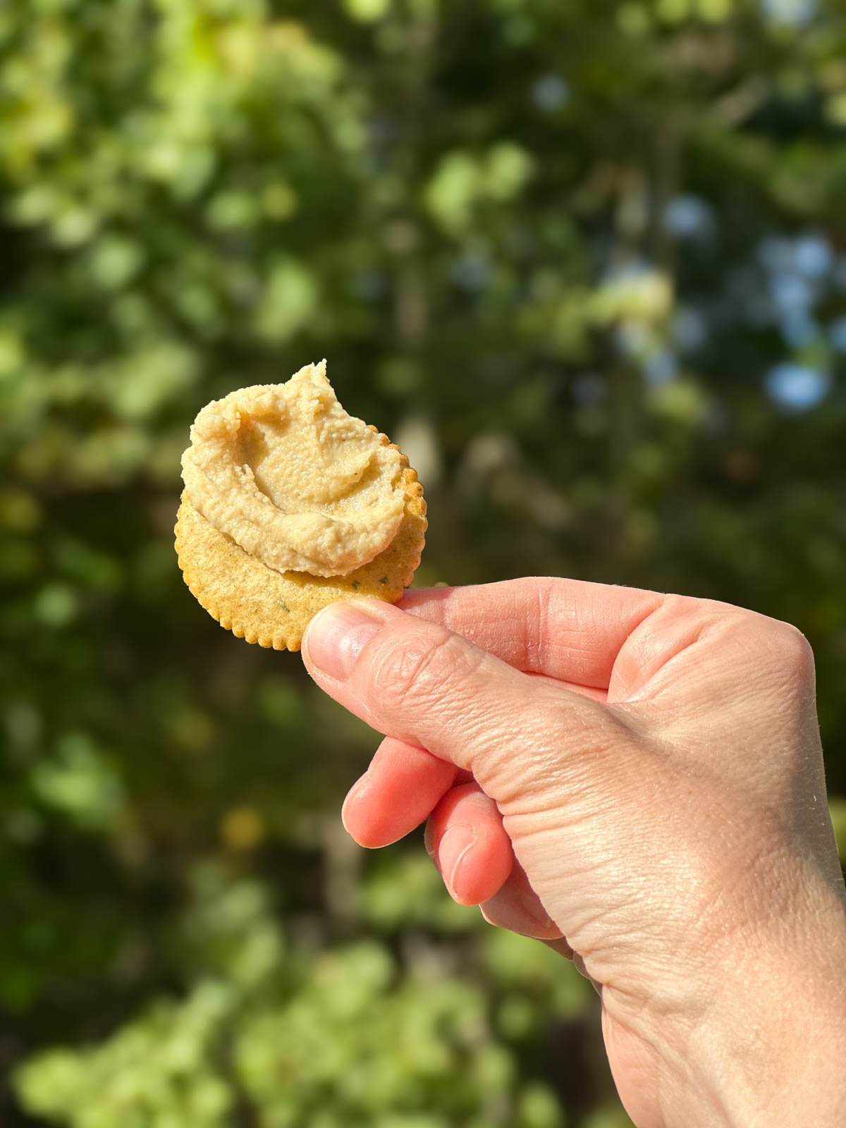 Close-up of creamy vegan cashew cheese on a cracker, showing its smooth texture and rich flavor.