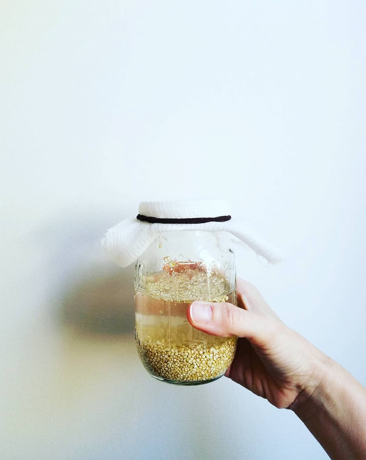 Homemade rejuvelac in a glass jar — a fermented grain liquid used for culturing vegan cashew cheese.
