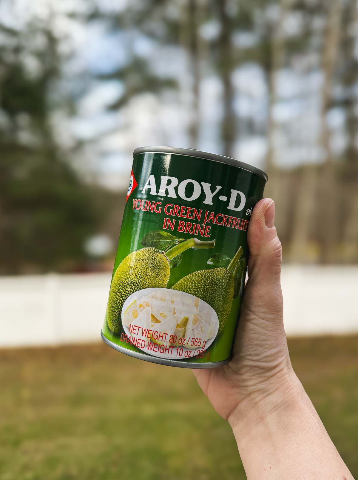 A hand holding up a can of young jackfruit packed in brine.