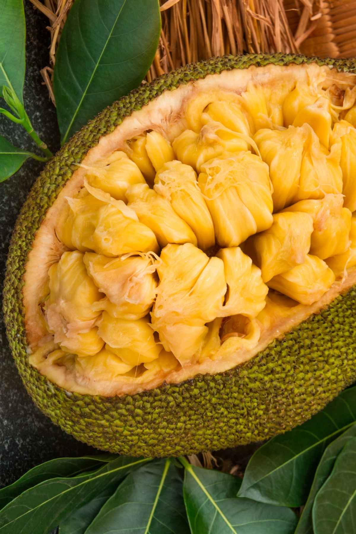 Close-up of a ripe jackfruit cut open to reveal its golden yellow pods surrounded by a green, textured rind and glossy leaves.