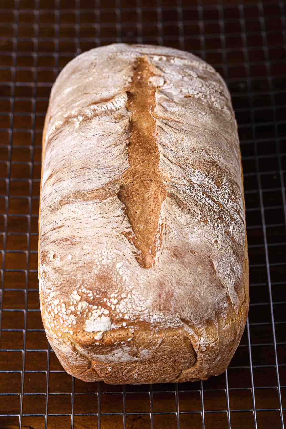 Freshly baked sandwich bread loaf cooling on a wire rack with a crisp, golden crust.