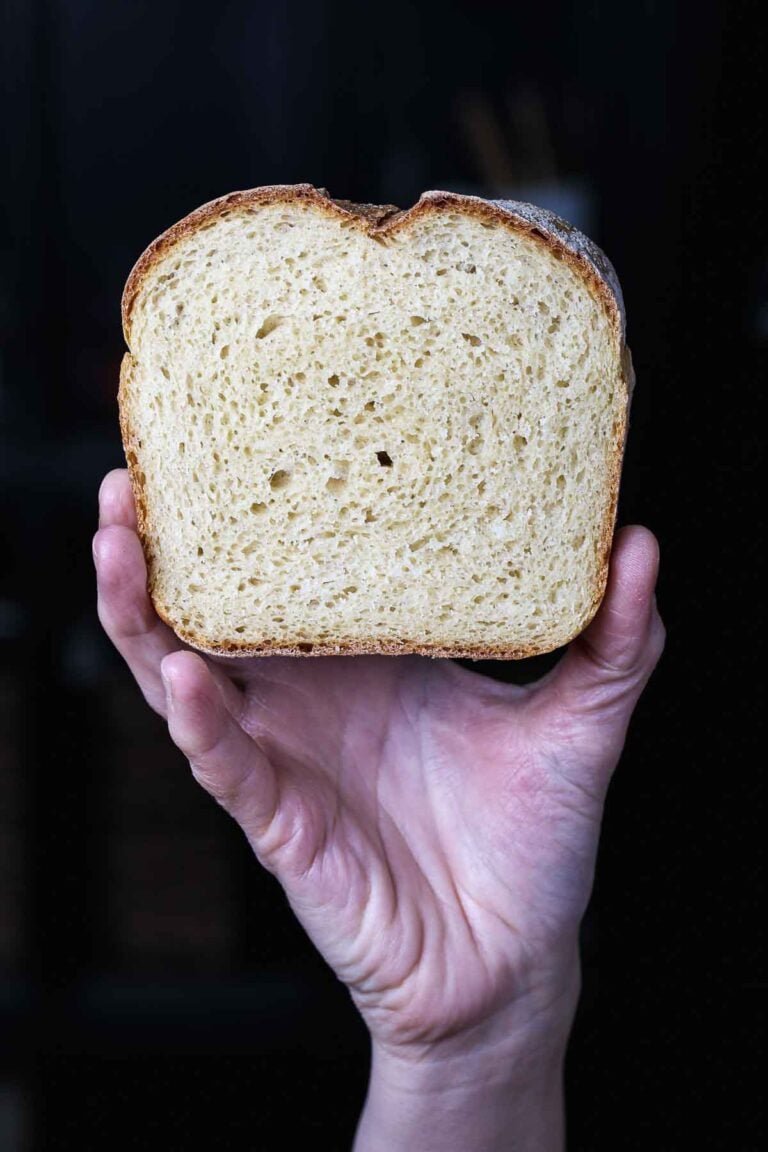 Slice of homemade sandwich bread held up to show its soft, even crumb texture.