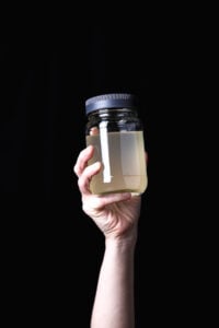 Fully cultured quinoa rejuvelac in a glass jar, cloudy and lightly fermented.